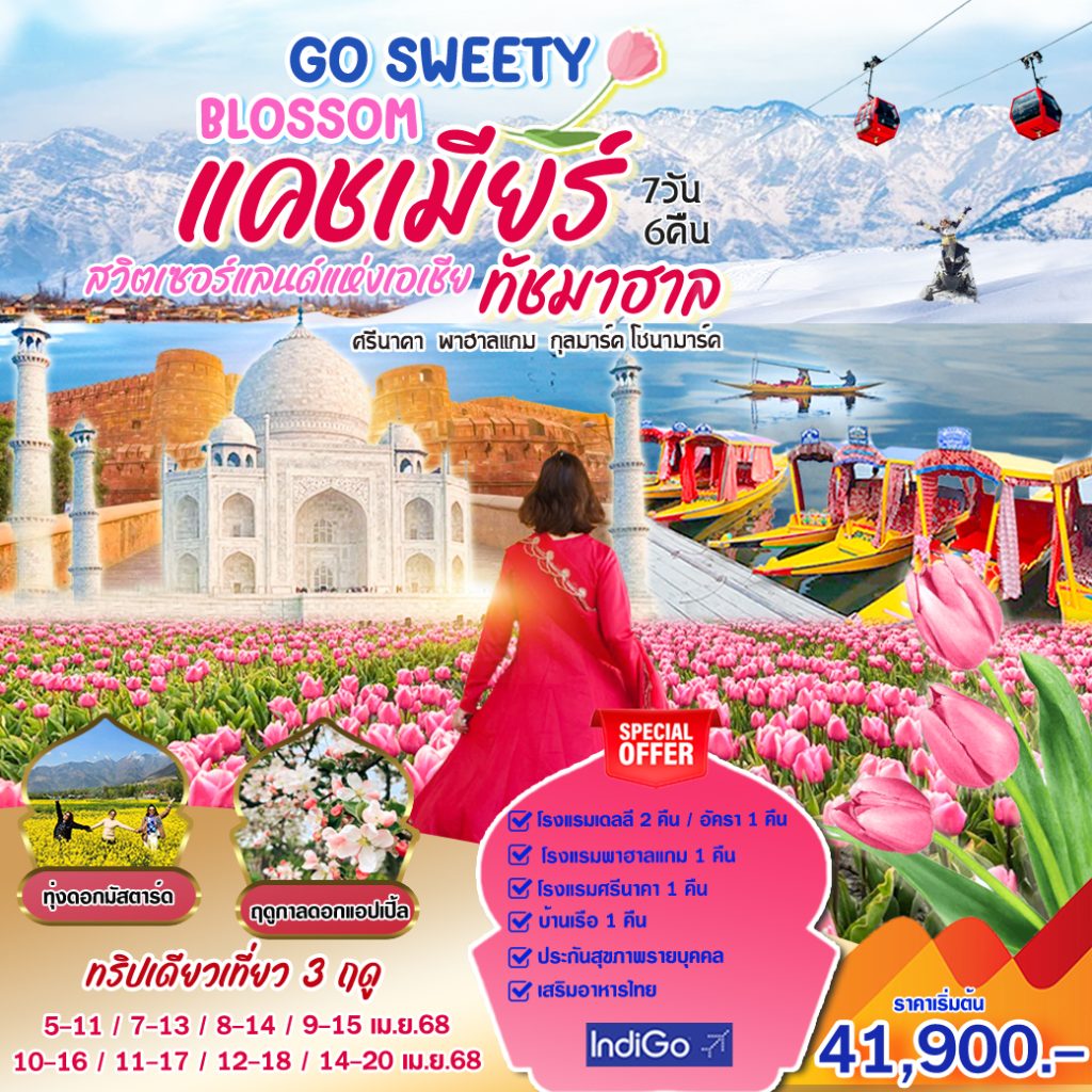 IH02-IND-GOSWEETY-01MAY2025-H241115