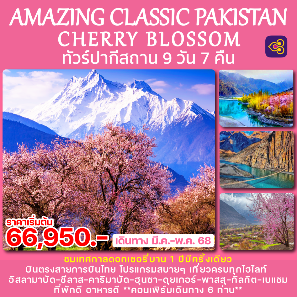 IS19-PAK- CHERRYBLOSSOM-30MAY2025-H241108