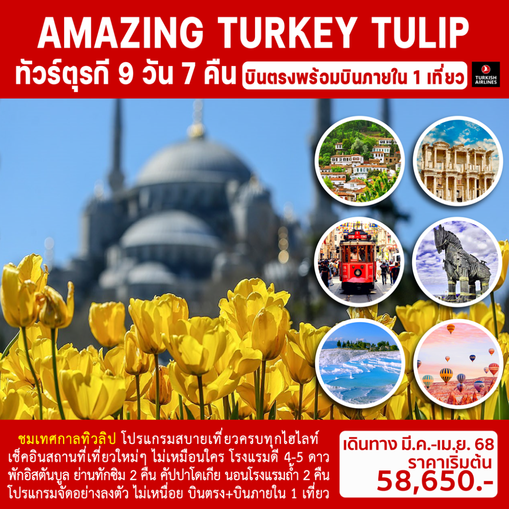 IS19-TUR- TULIP-26APR2025-H241106