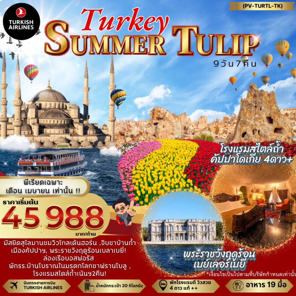 IP03-TUR-Summer-(PV-TURTL-TK)-26Apr2025-A250205